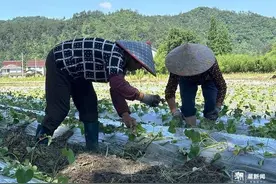 如何划定最低生活保障标准 杭州将健全社会救助标准调整机制图片