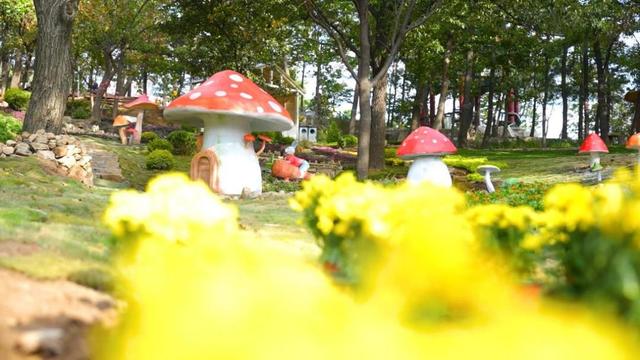 沂蒙山云蒙景区“精灵山谷”奇幻世界焕新亮相  开启沉浸式亲子休闲体验新篇章