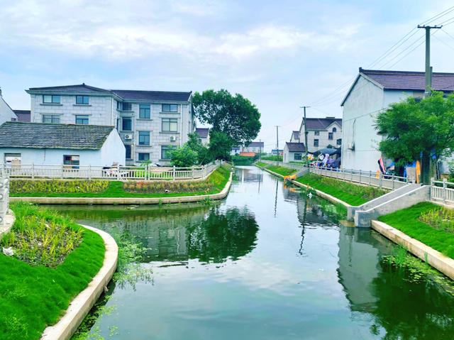 参与古镇联合申遗背后，上海新场镇的“治河”之路
