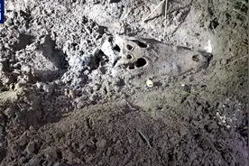 广东茂名“出逃”鳄鱼已被全部找到，未出现鳄鱼伤人事件图片