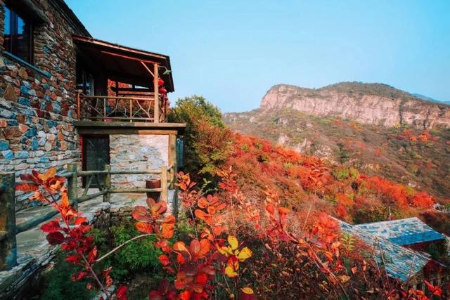 太美了！北京这里的“漫山红叶”推窗即揽！