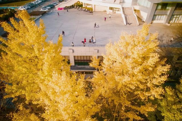 限时绝美！年度顶流！