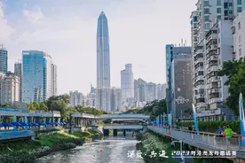 端午怎么玩？福田请你来深圳CBD看划龙舟图片