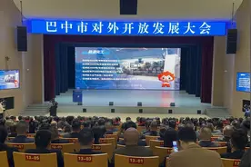 市州观察丨巴中市对外开放发展大会上，“投小巴”来了！寻找“最佳合伙人”图片