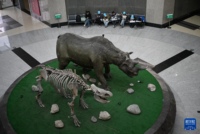 走进西北农林科技大学博览园