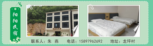 避暑胜地·清凉龙坪 |民宿里的悠然时光！