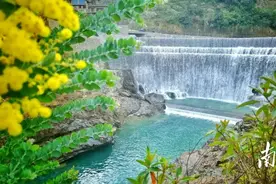 从初夏到岁末！信宜“530享李季”文旅福利来了图片