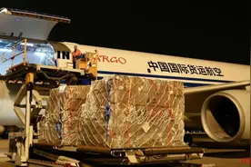 成都⇌荷兰！直飞货运航线开通图片