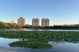 曾被贴上低房价标签的鹤岗，现在怎么样了？图片