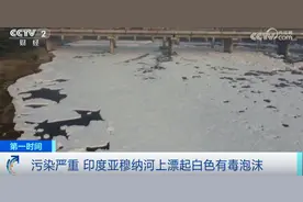 严重污染 印度首都新德里河面漂浮大量有毒泡沫图片