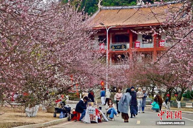 福州千年古刹梅香满枝