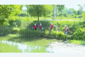 【高温下的劳动者】跃进村河道管理员：烈日下守护碧水清波图片