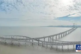 宝安南沙联动 如何实现“强强互补”图片