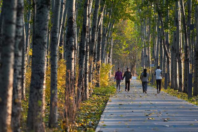 一张蓝图何以绘到底——北京以规划引领超大城市治理的启示