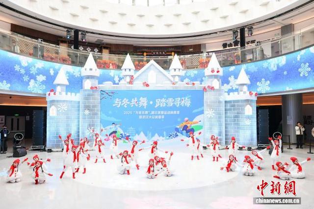 武汉黄陂打造冰雪嘉年华 促“冷资源”转化“热经济”