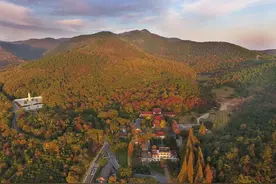 马鞍山博望区：匠心酿造传非遗 酒香飘出“横望山”图片