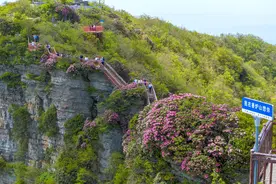 市州观察丨巴中：为做强文旅康养产业探“新招”图片