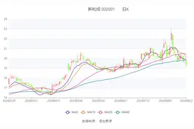 新和成：2024年上半年净利润22.04亿元 同比增长48.62%图片