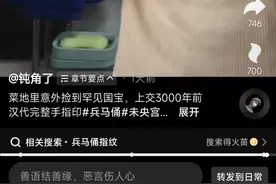 西安小伙未央宫附近菜地捡到汉代指纹砖？相关部门回应图片