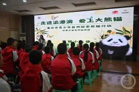 重庆动物园大熊猫火出圈，快来看看你认识哪些“顶流”图片