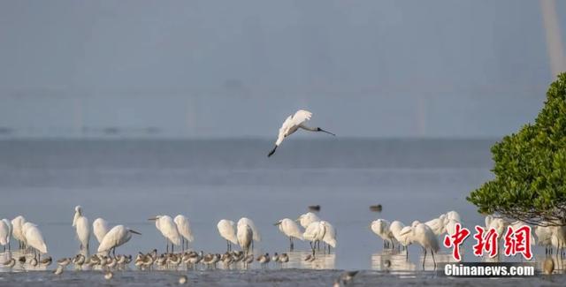 人这一辈子，一定要去一趟深圳！