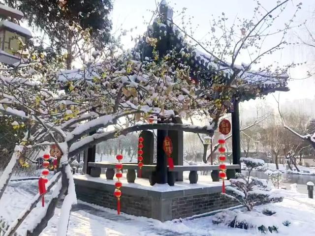 花开有时・四季有诗