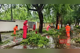 直击台风“蝴蝶”：三亚倒伏树木1800余株，有车辆被砸图片