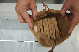 花大钱买教训图片