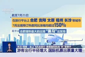 降价、免签……暑期国际航线热度攀升，出国游想飞就飞图片