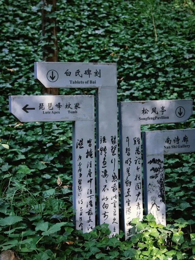 啥？我的旅游搭子来自千年前