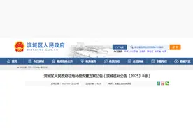 拟征收大河社区集体土地！补偿安置方案公布！图片