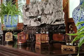 暑假期间，苏州园林景区接待游客360.79万人次图片