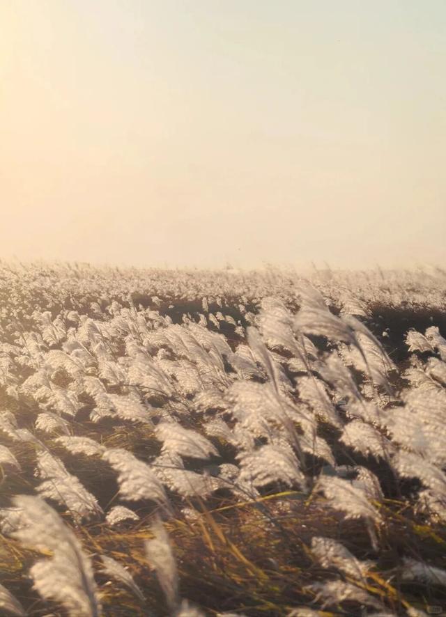 江西的美，不止“风花雪月”！