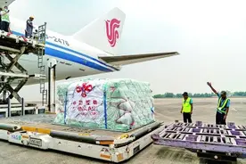 用专业与汗水书写中国担当图片