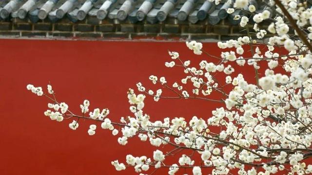 荣成清明出游全攻略，美景优惠两不误