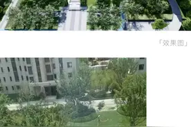 业主质疑金茂府交付标准减配 开发商将对绿化景观提升图片