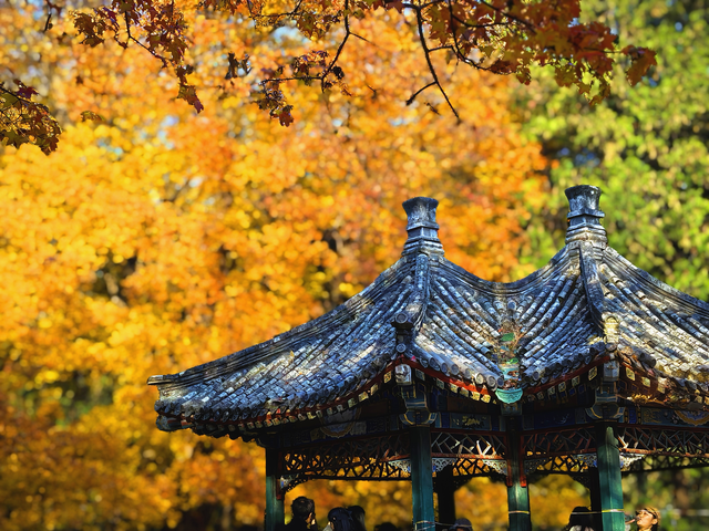 有一种美，叫“地坛的秋”