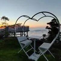 福鼎这里藏着一座“四季画廊”……