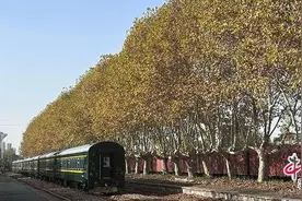 时评：百年老站金陵韵，铁轨情长话往昔图片