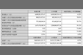 世纪华通上半年净利同比增长78%，海外自研收入增长超五成图片