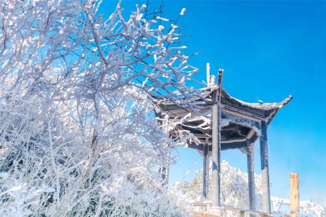 11月的清远将有大动作！