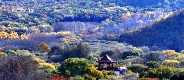 邂逅秋日限定浪漫 祖国河山处处皆画卷
