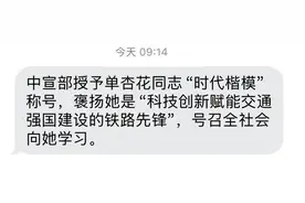 你是否也收到了这样一条短信？单杏花是谁？要从12306说起图片
