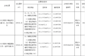 一口气挂牌12宗地块！长沙县安沙镇将迎来奥特莱斯图片