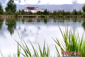 【我们的家园】十年造林200万亩 拉萨打造生态宜居高原城市图片