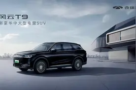 风云T9上市，奇瑞大卓 “智”胜一筹图片