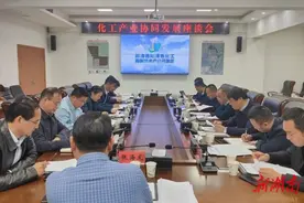 临湘市来云溪区对接化工产业协同发展工作图片