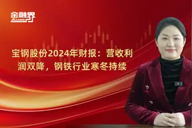 宝钢股份2024年财报：营收利润双降，钢铁行业寒冬持续视频封面