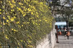 减肥“官方指南”来了！全国各地都不同，山东食谱是这样的图片