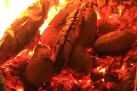 【宁品读】​冬日的简单快乐图片